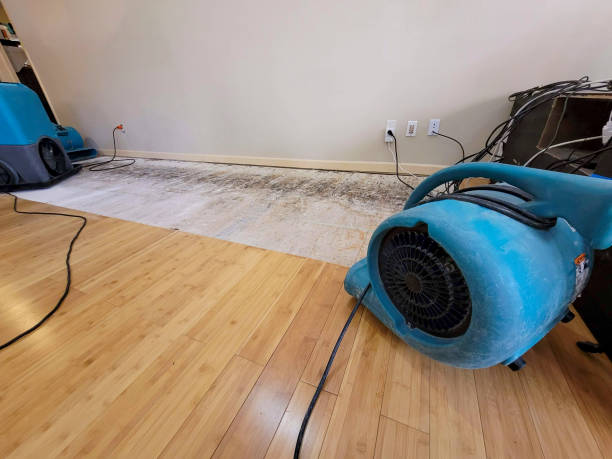 Reliable Basement Flood Cleanup contractor in Anaheim, CA by Hirex Water Damage