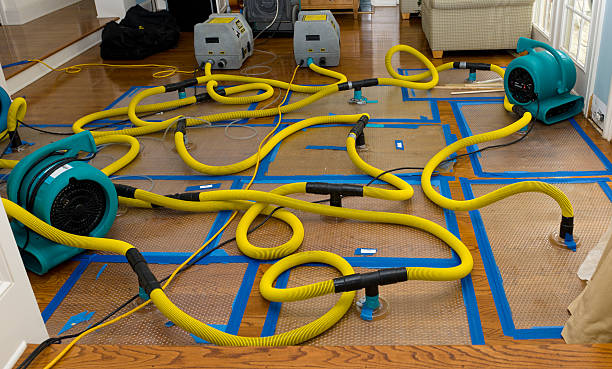 Professional Basement Flood Cleanup technician working in Anaheim, CA